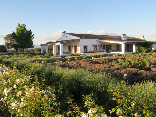jardines-de-campo-Talavera-15