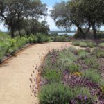 Jardines de Campo | Navalcan
