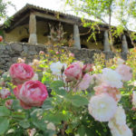 Jardines de Campo | Tietar